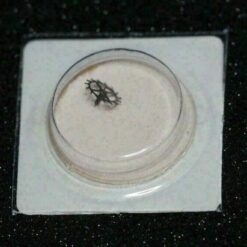 GLASHÜTTE GUB 09-20, 08-20 PART 220, 307, 705, 710 Sekundenrad, Ankerrad  NOS